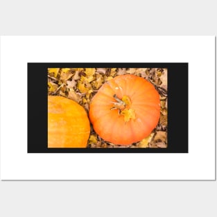 Two pumpkins Posters and Art